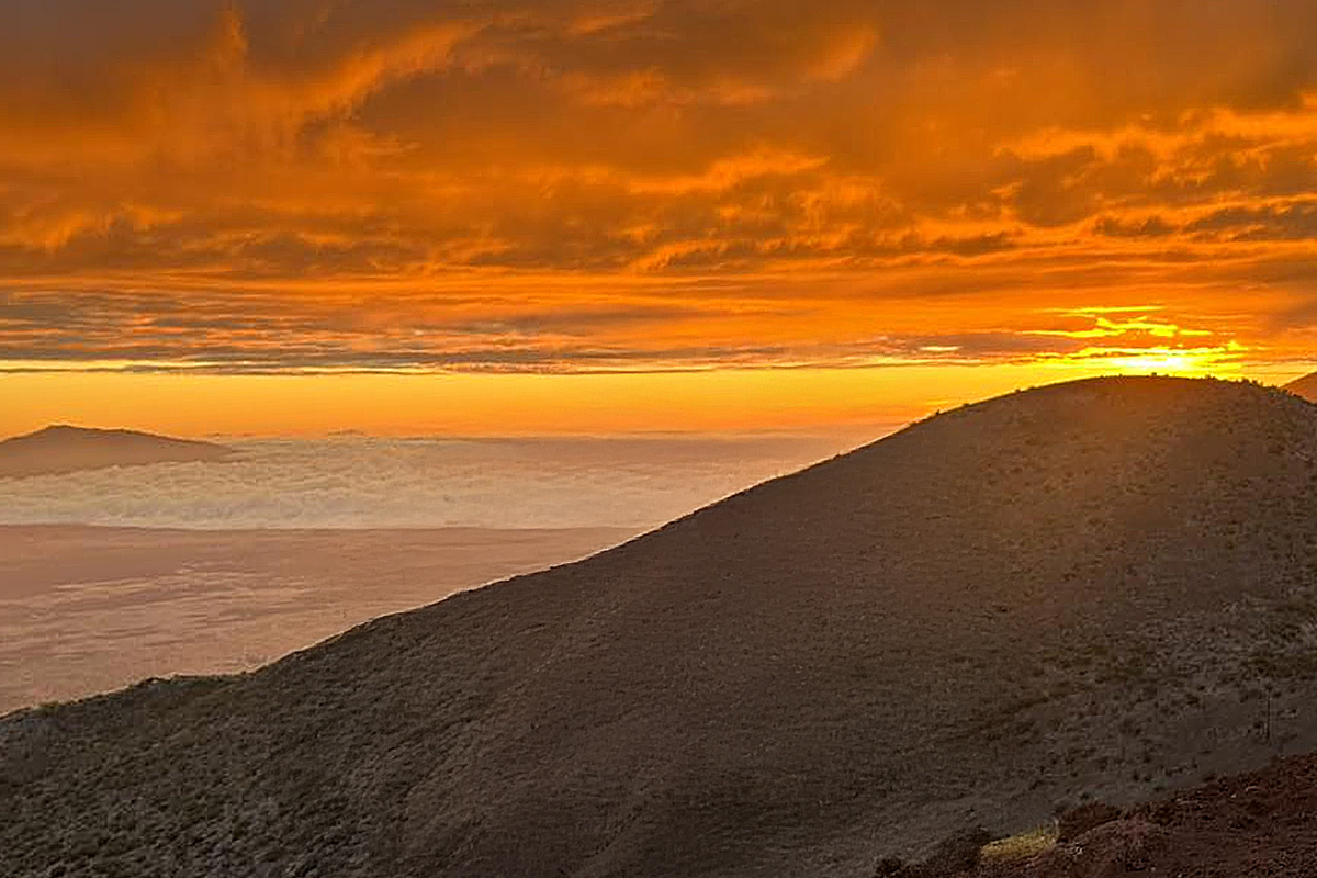 Smile Because It Happened